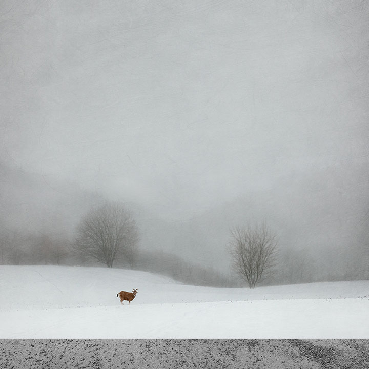 James Simmons